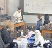 <4주차>반려견기초훈련