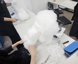 <4주차>반려견기초미용