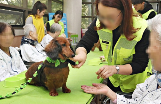 선린대학교 반려동물학과
