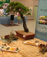 작품전 및 다문화요리경연대회