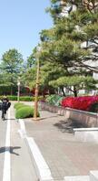 안경광학과 하계 운동회 2012.04.27