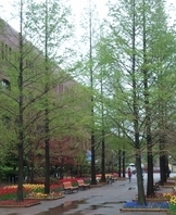 자랑스런 선린 동문들