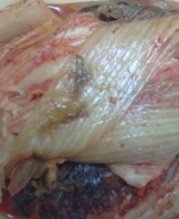 사용자 등록 이미지