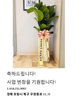 사용자 등록 이미지