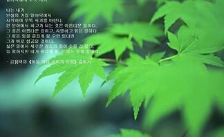 사용자 등록 이미지