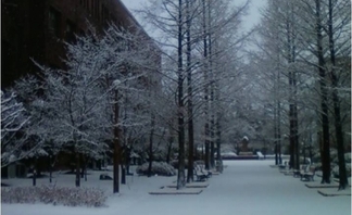 사용자 등록 이미지